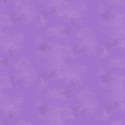 Lavender - Colorstock